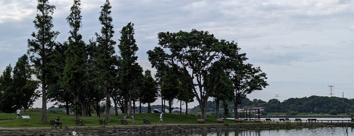 Teganuma Park is one of わ.