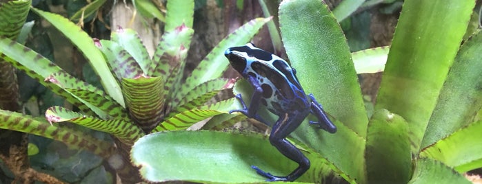 Insectarium is one of Good Day Philadelphia.