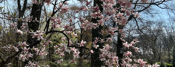 Downtown Brooklyn is one of NYC - Best of Brooklyn.