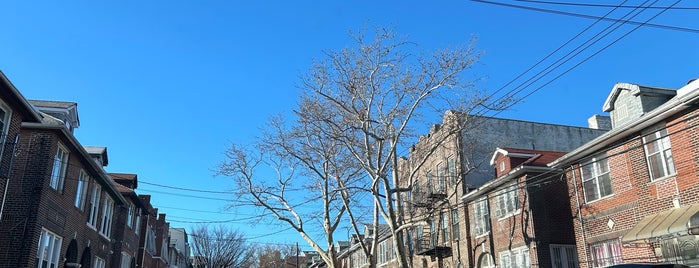 Borough Park is one of New York City districts and neighborhoods.