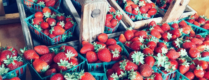 Swanton Berry Farm is one of Beyond the Peninsula.