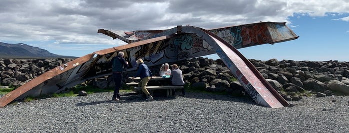 Skeiðársandur (broken bridge) is one of Iceland.