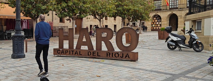 Haro is one of Ebrovisión.