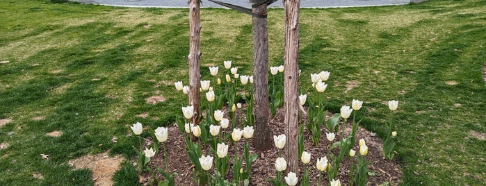 Chelsea Waterside Park is one of New York City.