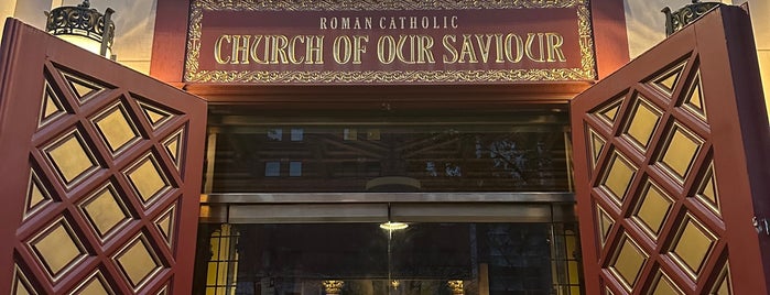 Roman Catholic Church of Our Saviour is one of Places to go in New York City.