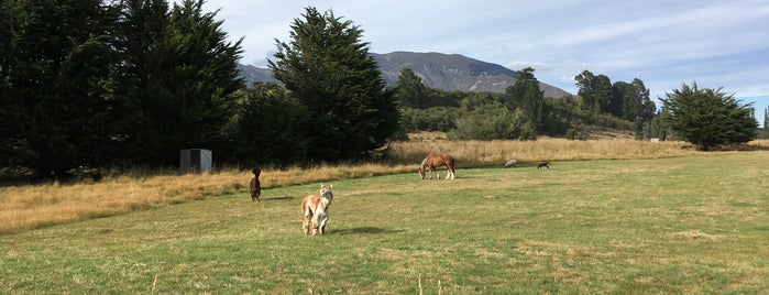 Glenquoich Lodge and Holiday Park is one of Best Campsites in New Zealand.