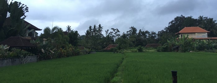 Paddy Point is one of The Best of Bali.