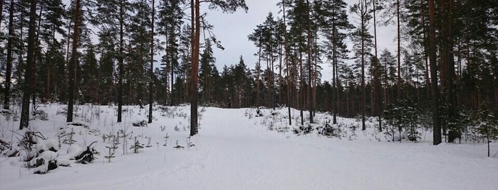 Лыжня в Петровском is one of Lieux qui ont plu à scorn.