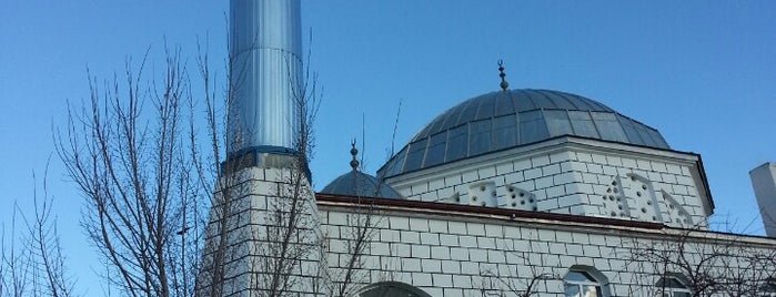 Seyfettin Efendi Camii is one of Camiler.