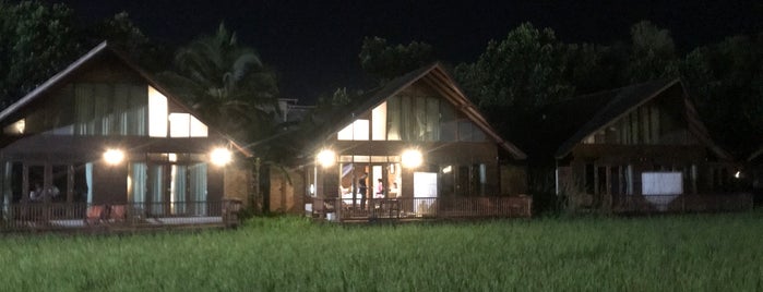 Rice Farm Resort is one of Surat Thani - Sights.