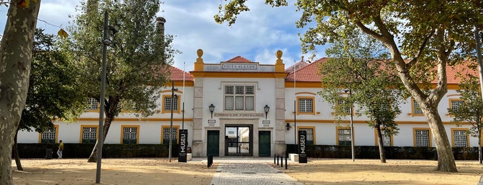 Museu Vista Alegre is one of PORTUGAL - Norte - Sul.