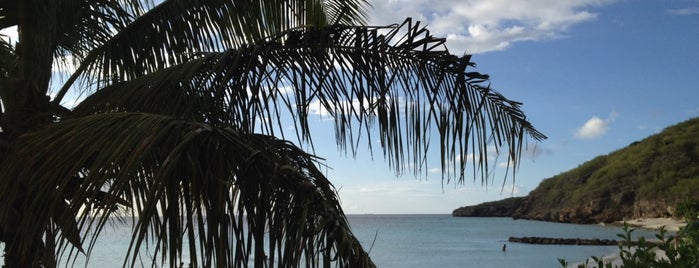 Playa Daaibooi is one of Lugares favoritos de Remco.