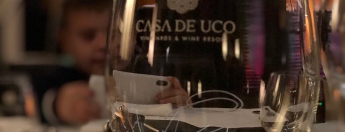 Casa de Uco | Vineyards & Wine Resort is one of Mendoza.