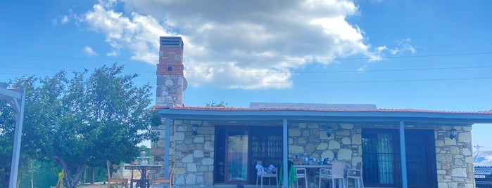 Çeşme Bağları is one of Vinery.