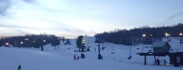 Alpine Valley Ski Area is one of fun.