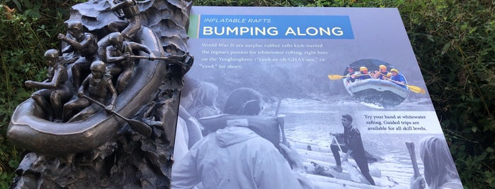 Ohiopyle Falls is one of RT.