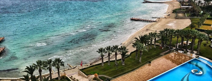 Boyalık Beach Hotel & SPA is one of Tempat yang Disukai 🐈‍⬛anılar🐕‍🦺.