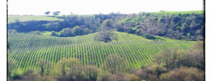 La Piantata is one of Locali preferiti.