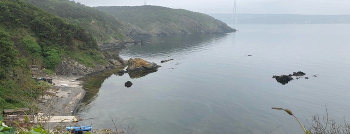 Anadolu Feneri is one of Locais curtidos por M.Metin.