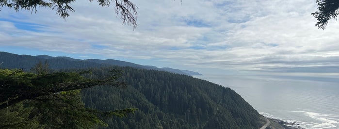 Cape Perpetua is one of Yachats, OR.