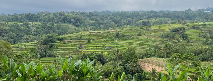 Restaurant Uma Luang Sari Baturiti is one of Bali.