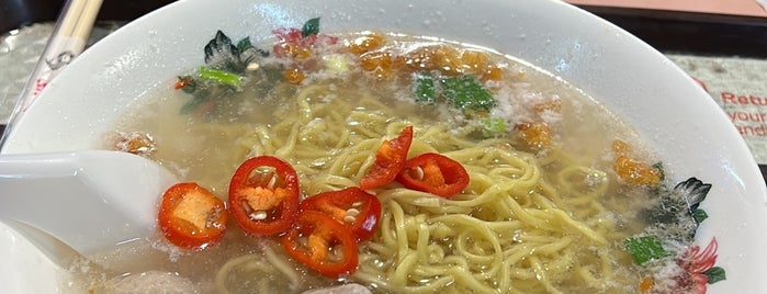 Xing Ji Rou Cuo Mian 興記肉脞面 is one of SG Food.
