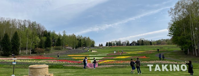 Takino Suzuran Hillside Park is one of Hokkaido.