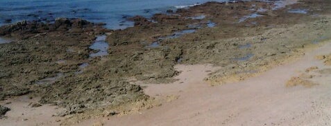 Playa de la Barrosa is one of Lovely Places.