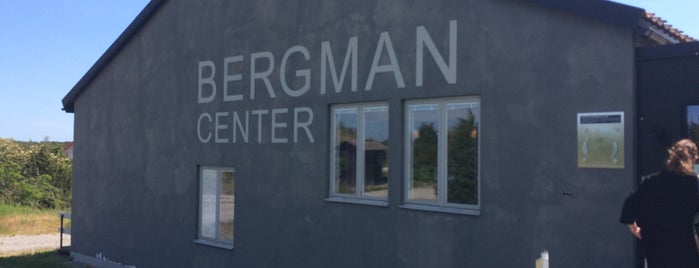 Bergmancenter is one of Gotland.