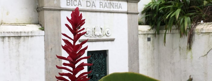 Bica Da Rainha is one of Dicas Cariocas.