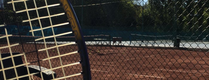 Városmajori Tenisz Club is one of x.