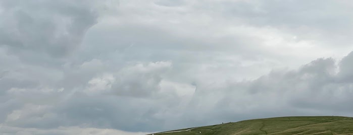 White Horse Hill is one of Historic Sites of the UK.