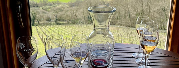 Camel Valley Vineyard is one of Padstow.