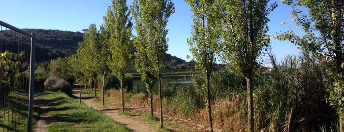 Lago d'Averno is one of Posti salvati di Lucy.