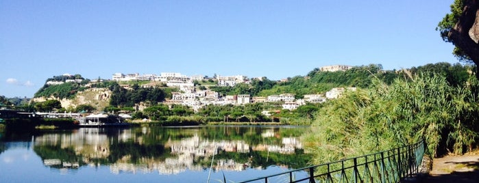 Lago lucrino is one of Lucyさんの保存済みスポット.