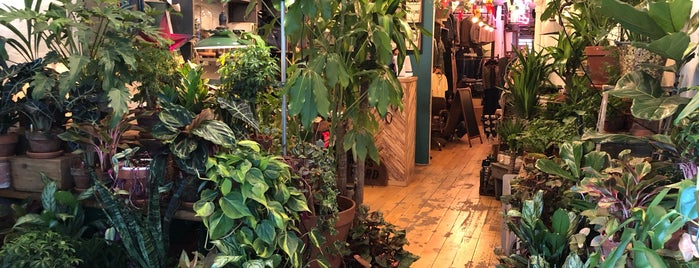 Green Fingers Market is one of NYC IG.