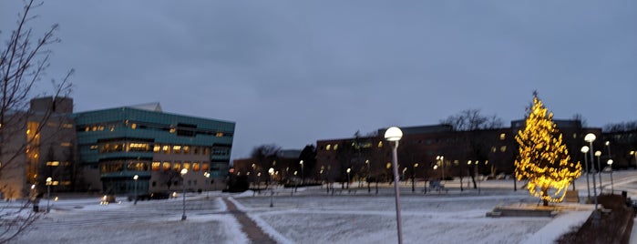 FSU Quad is one of Student Services.