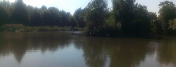 Common Pond is one of Places when Out Running.