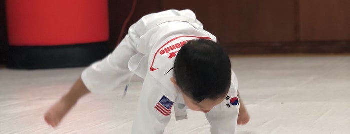 Spirit Taekwondo is one of สถานที่ที่ Mike ถูกใจ.