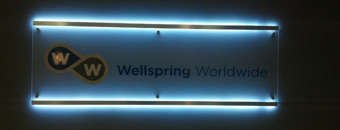 Wellspring Worldwide is one of Chicago's Best Places to Work.