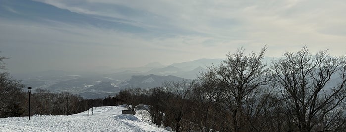 Mt. Moiwa Observatory Deck is one of Hokkaido.
