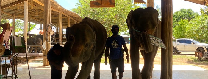 Kai Bae Meechai Elephant Camp is one of travel.