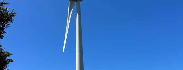 Wellington Wind Turbine is one of NZ.