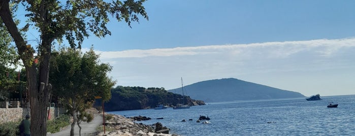 Kınalı ada arka Dumankaya is one of Tempat yang Disukai Natali.