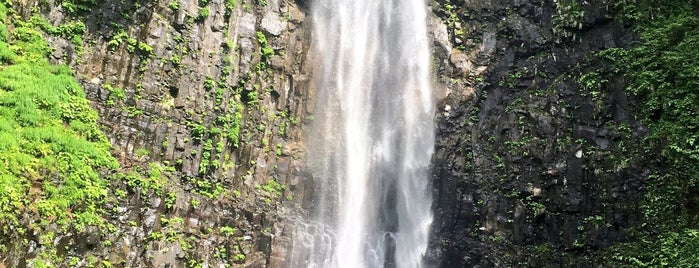 玉簾の滝 is one of Shonai | 庄内.