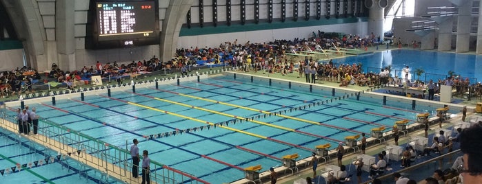 Tokyo Tatsumi International Swimming Center is one of Pool.