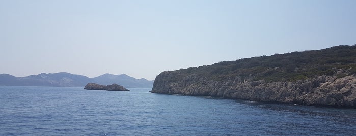 Gürmenli Dive Spot is one of Locais curtidos por Sinem.