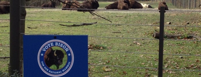 Bison Pen is one of Bronx Zoo.