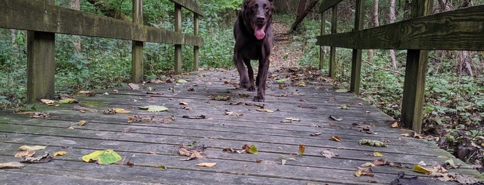 Black Hawk State Park is one of Quad Cities.