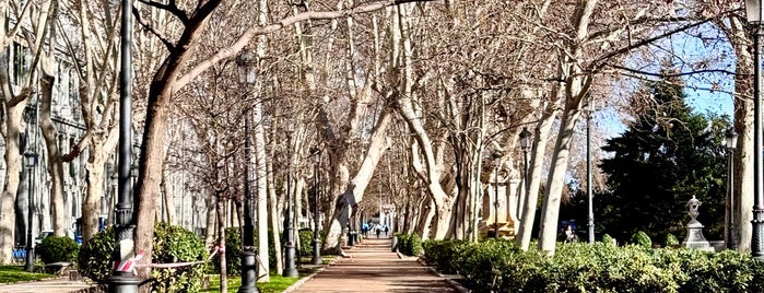 Paseo del Prado is one of Lugares favoritos de Vanessa.